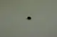 BOSCH-Manschette-8738901772 gallery number 1